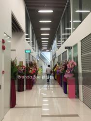 Kap (D21), Retail #179347972